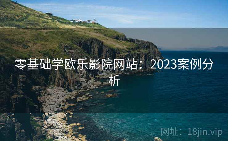 零基础学欧乐影院网站：2023案例分析