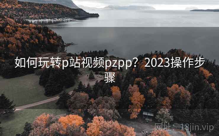 如何玩转p站视频pzpp？2023操作步骤