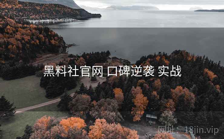 黑料社官网 口碑逆袭 实战