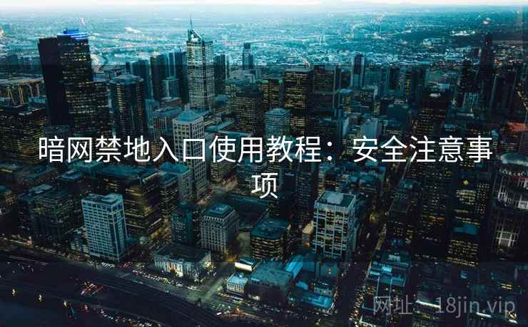 暗网禁地入口使用教程：安全注意事项