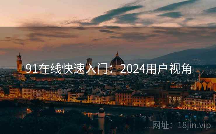 91在线快速入门：2024用户视角