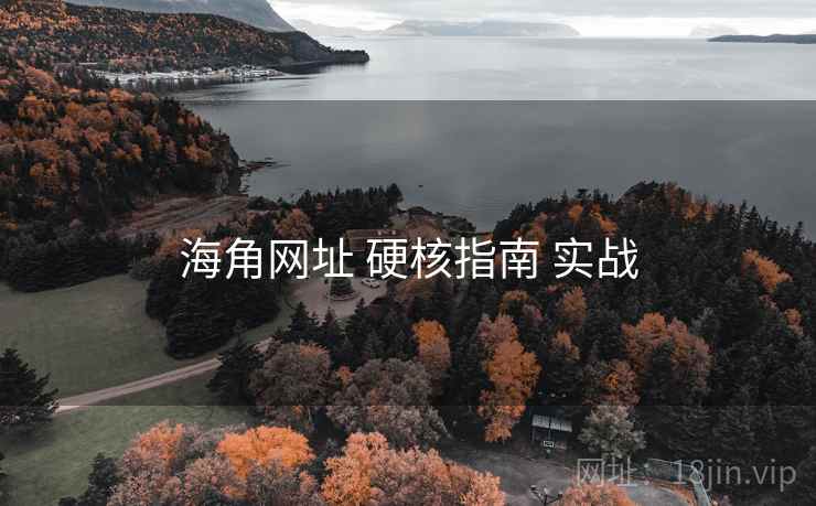 海角网址 硬核指南 实战