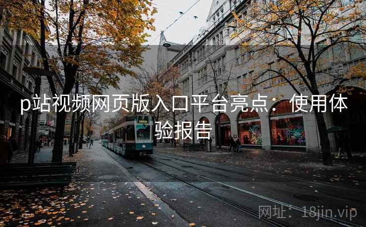 p站视频网页版入口平台亮点:使用体验报告