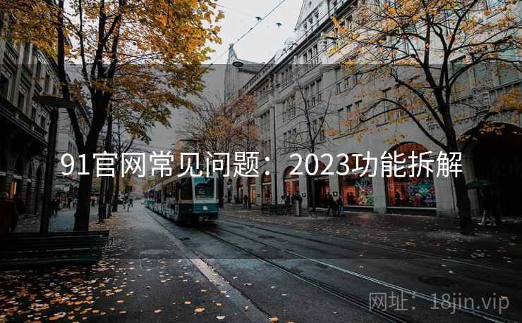 91官网常见问题：2023功能拆解