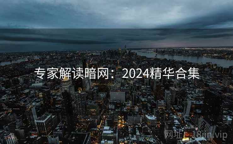 专家解读暗网：2024精华合集