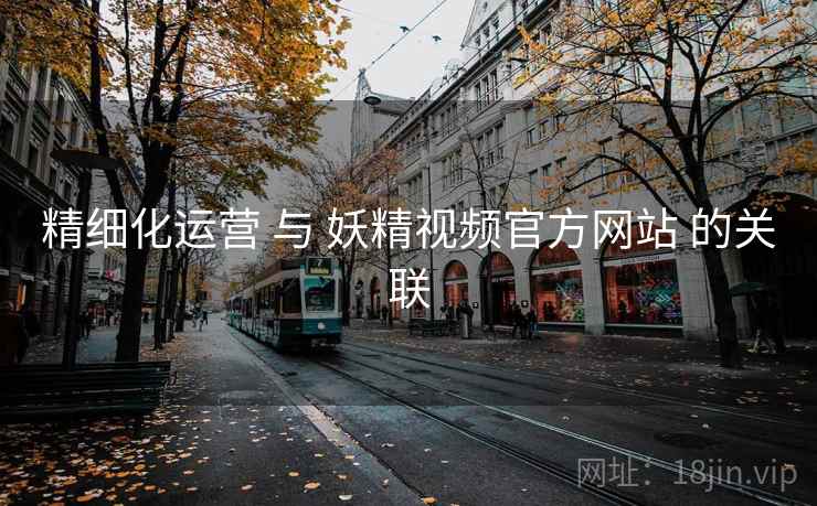 精细化运营 与 妖精视频官方网站 的关联