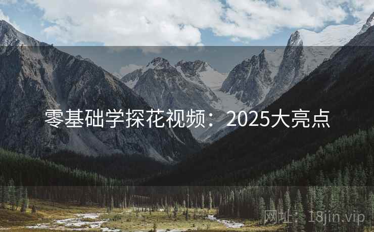 零基础学探花视频：2025大亮点