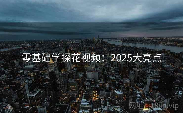 零基础学探花视频:2025大亮点