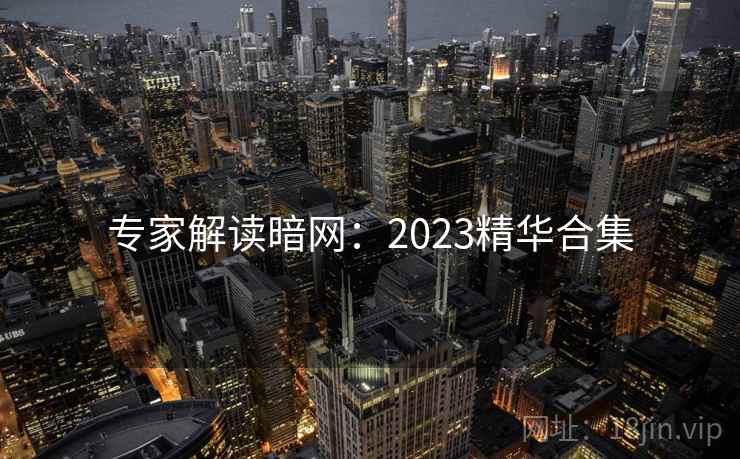 专家解读暗网:2023精华合集