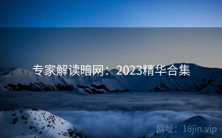 专家解读暗网:2023精华合集