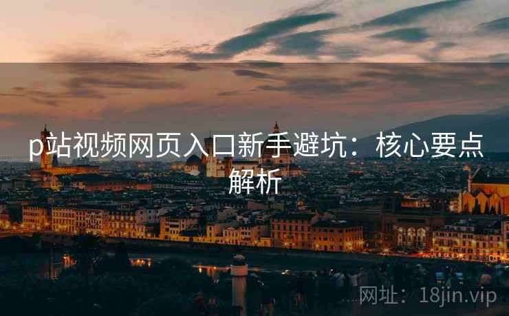 p站视频网页入口新手避坑：核心要点解析