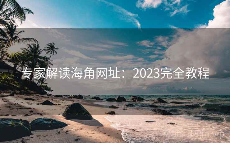 专家解读海角网址:2023完全教程