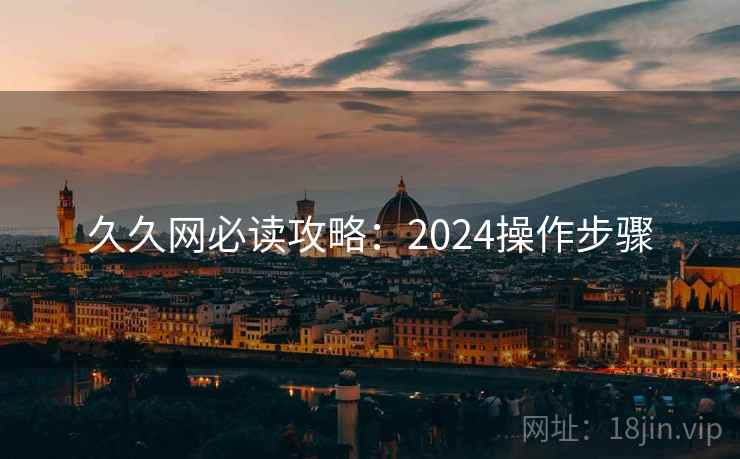 久久网必读攻略：2024操作步骤